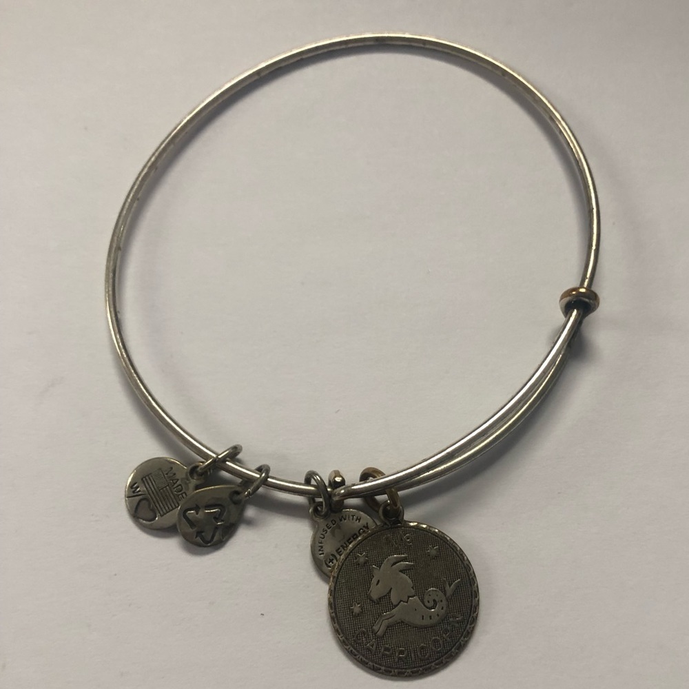 Alex and ani Capricorn ♑️ bracelet